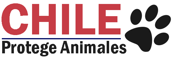 Chile Protege Animales