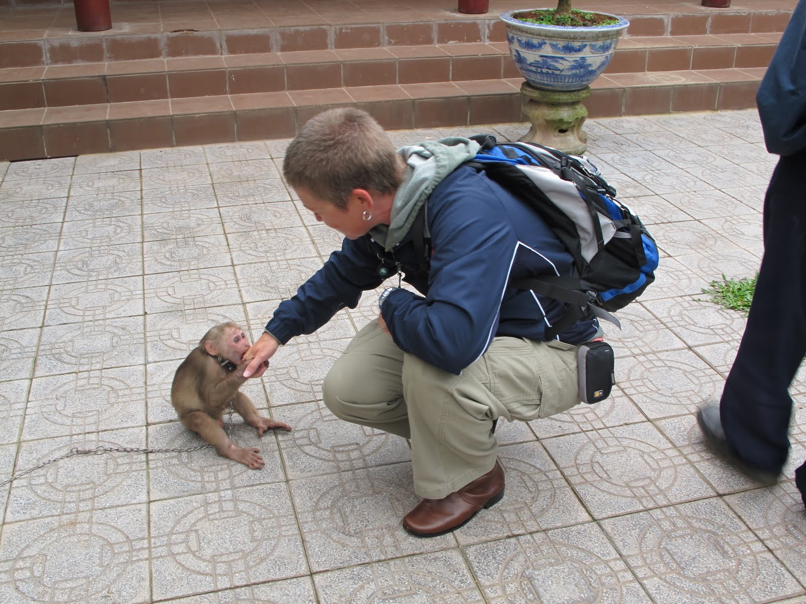 NolaNomads Can We Pet Your Monkey?