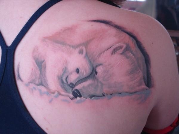 Wild Tattoos Bear Tattoo Designs
