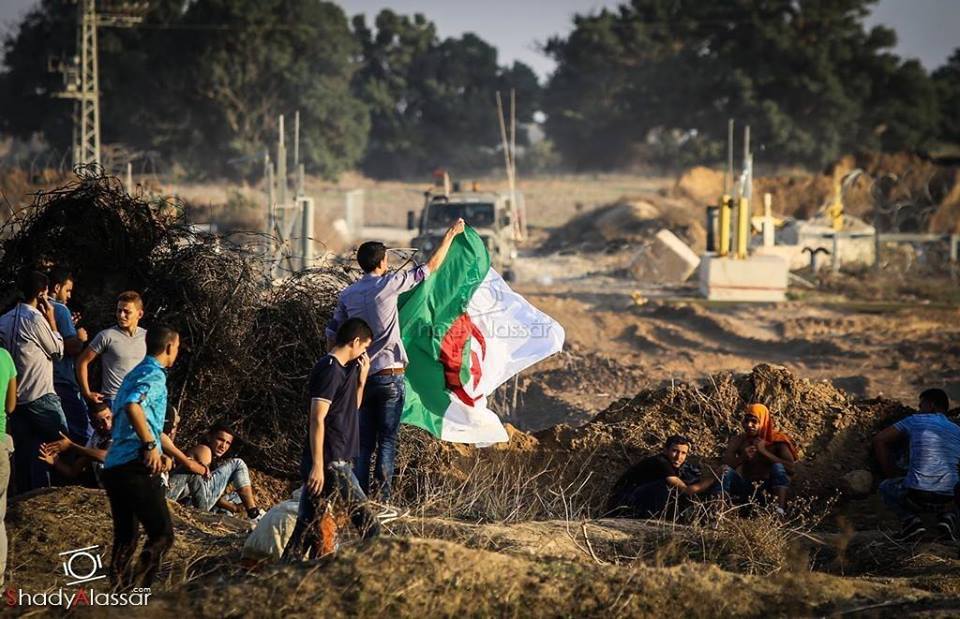 الفلسطينيون يرفعون علم الجزائر في الموجهات مع الصهاينة ...