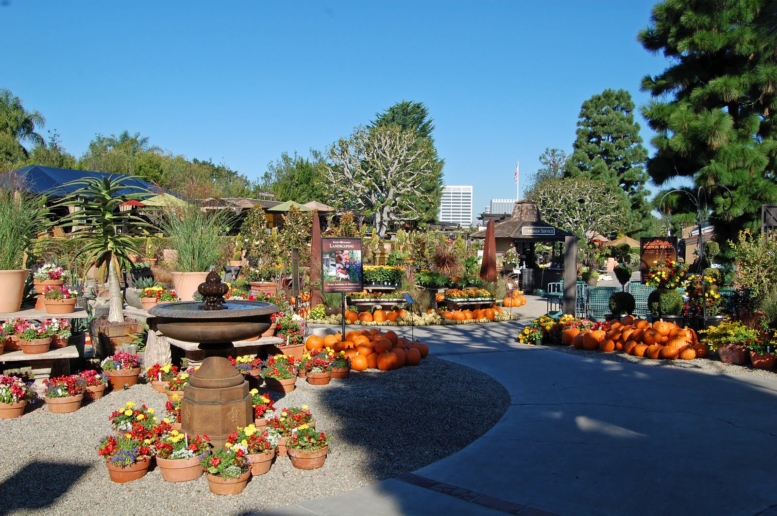 My Painted Garden Fall Tour of Roger's Gardens