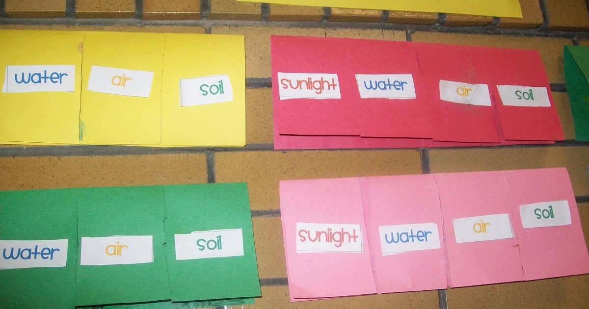 Plant Needs ~ Mrs. Barker's 1st Grade Smarties