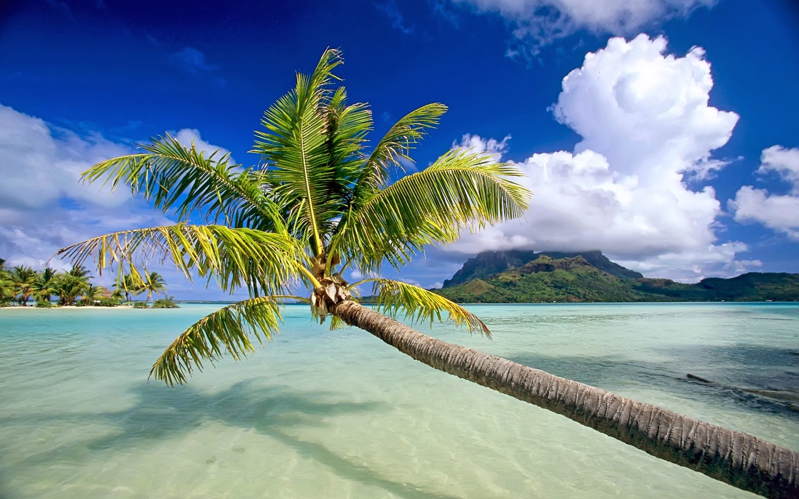 get ready spend a memorable winter holiday goa goa holiday get ready spend a memorable winter holiday goa goa holiday
