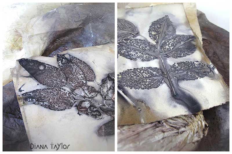 Velvet Moth Studio Eco Printing on Paper and Silk