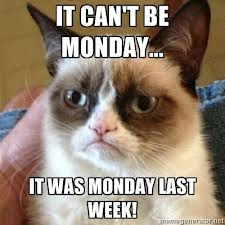 mondays.jpg