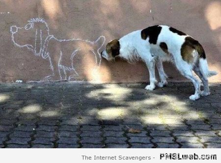 9-dog-sniffing-drawings-butt.jpg