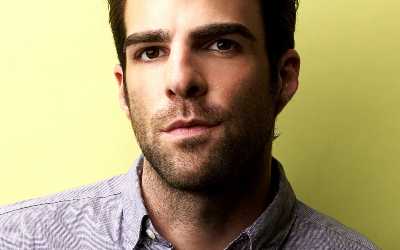 http://2.bp.blogspot.com/-vsBUUrEBbsI/TpvW2k0SnnI/AAAAAAAAE9c/H-Y3IBHbpoY/s1600/ZQ-Widescreen-Wallpaper-zachary-quinto-11538091-2560-1600.jpg