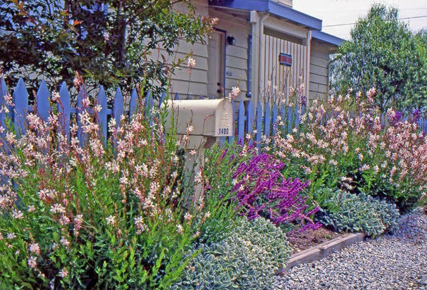 Traditional Coastal Garden