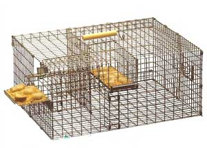 cara membuat jebakan burung arena burung cara membuat jebakan burung arena burung