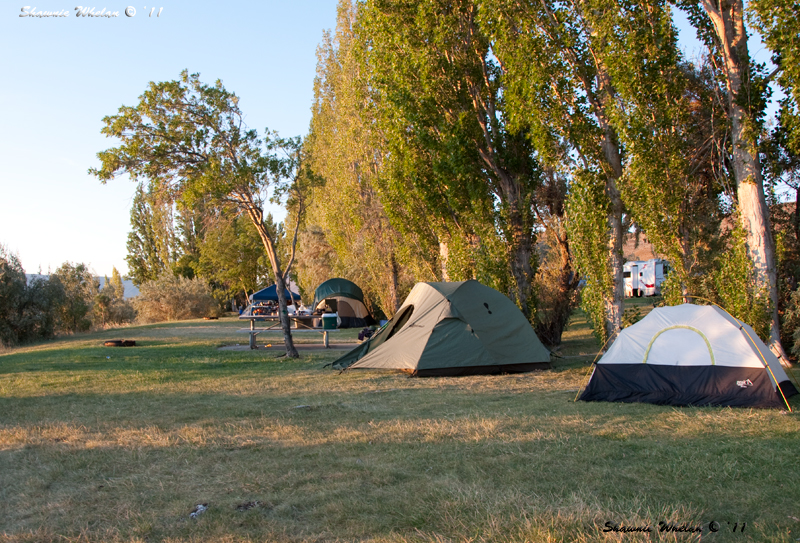 Walks with Moss Wanapum State Park