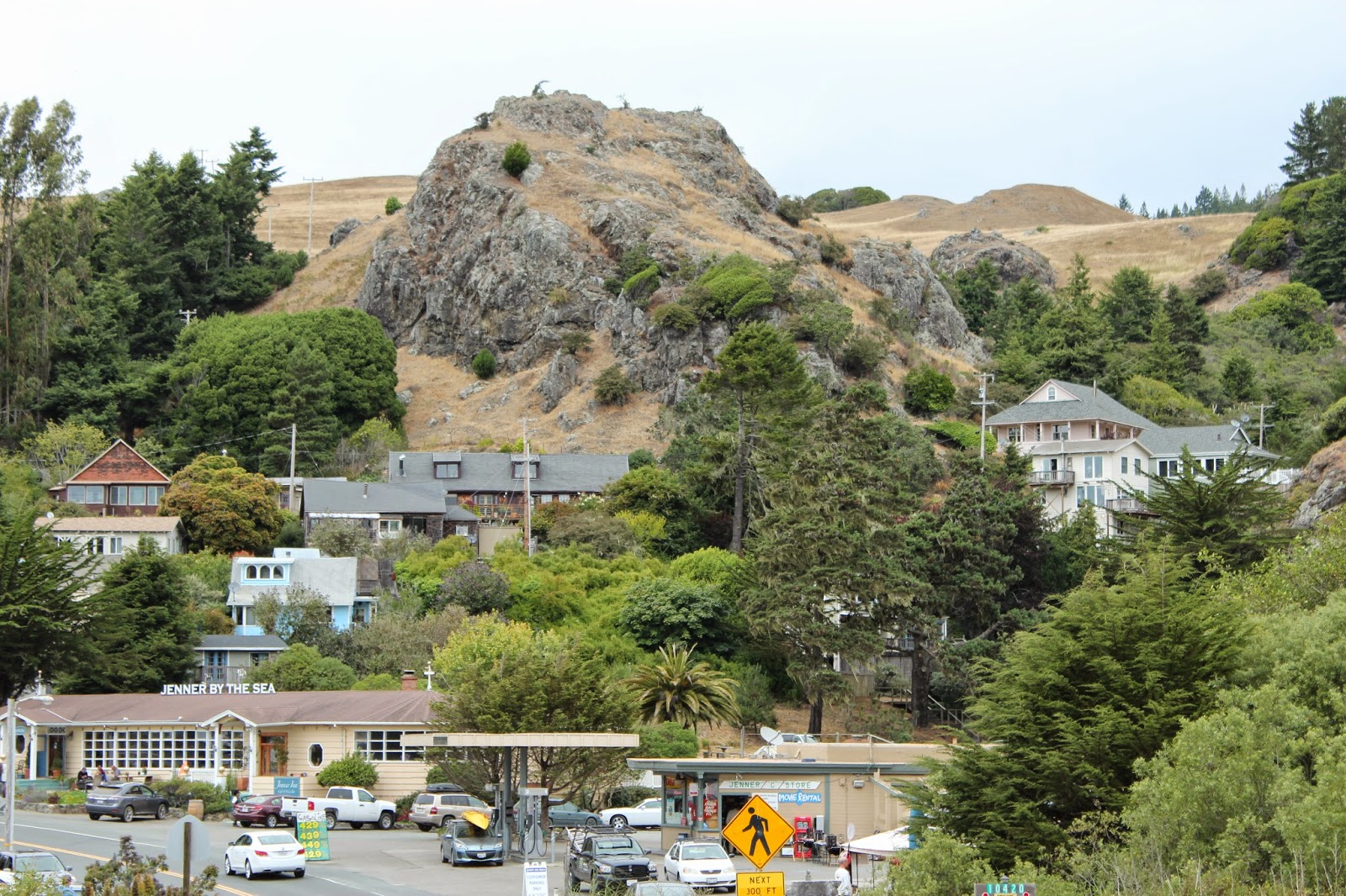 Life West Coast Jenner,California, JennerByTheSea