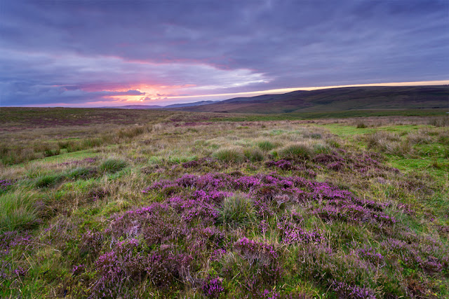 Sunrise light over the Exmoor landscape by Martyn Ferry Photography