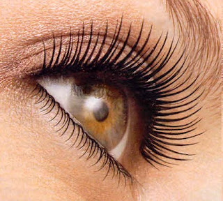 All About Eyelash Tinting All About Eyelash Tinting