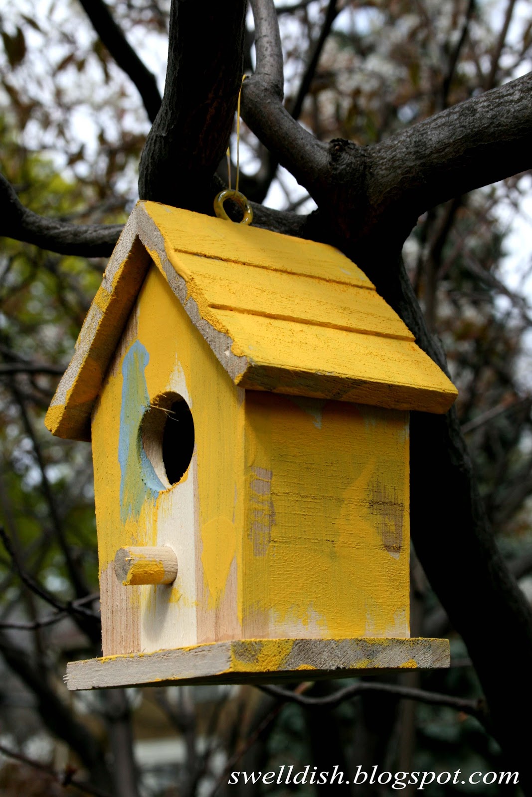 The Swell Dish Getting Outdoors With Painted Birdhouses