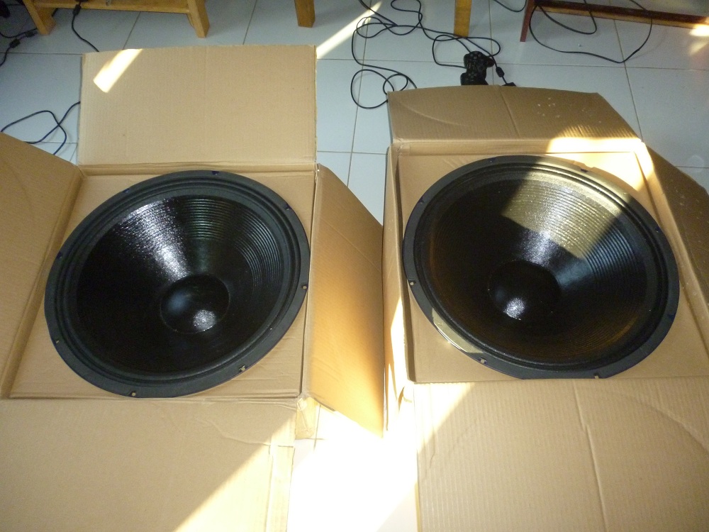 speaker acr 21 inch