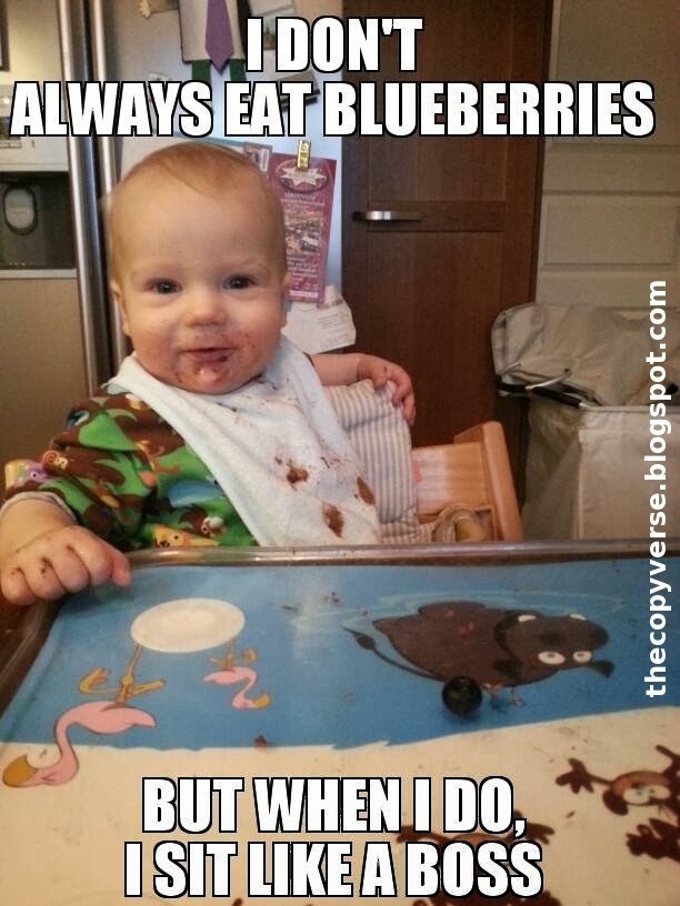 The copyverse Babyled weaning How to prepare blueberries