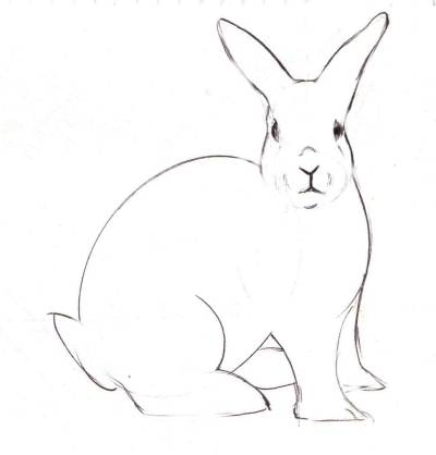 easy bunny sketches