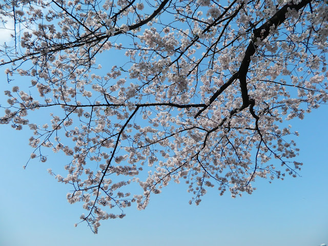 Blue skies, perfect day!