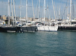 MARINA EN PALMA