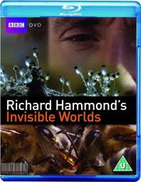 BBC Invisible World (2010)