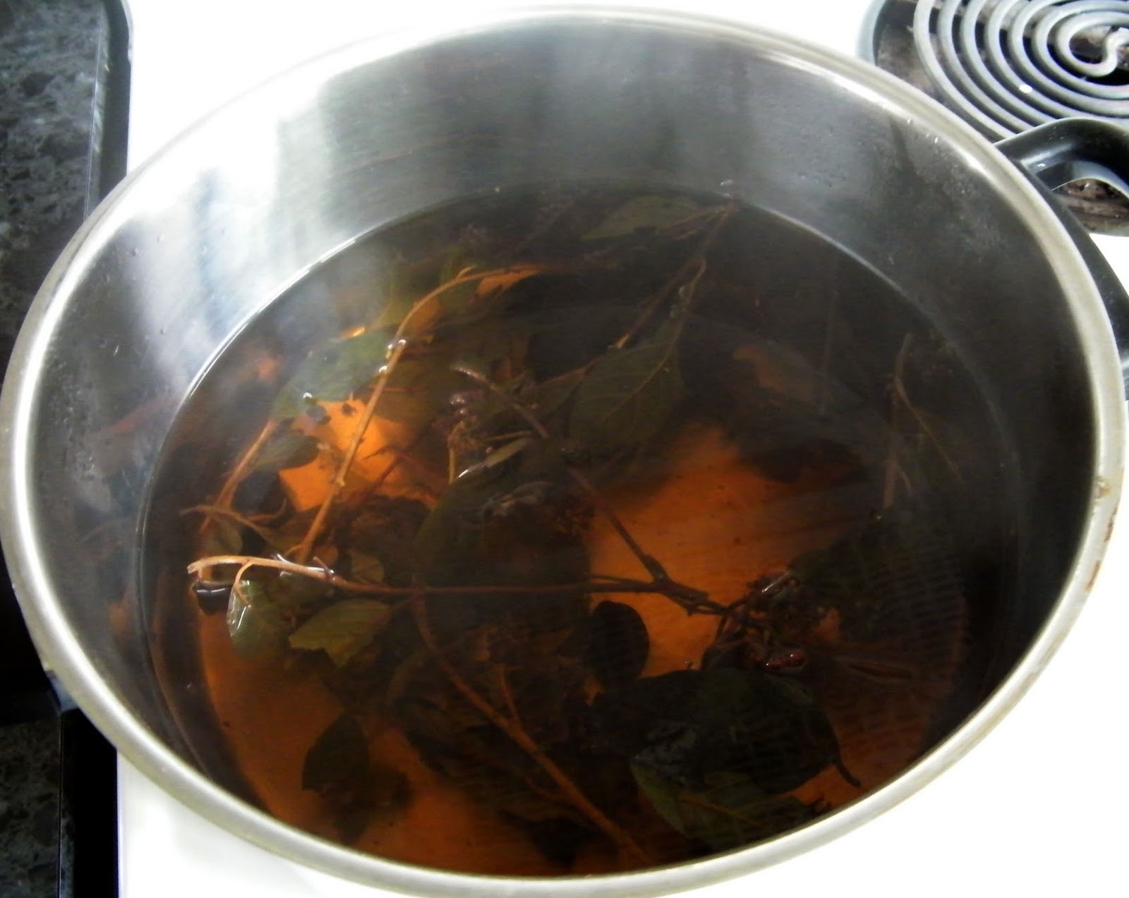 Maisy and Grace Kumarahou The Wonder Weed