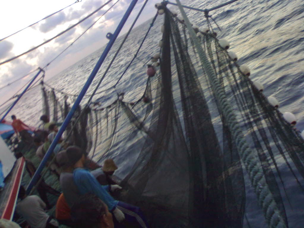 Spesifikasi Alat Tangkap Purse Seine Ilmu Kelautan Perikanan