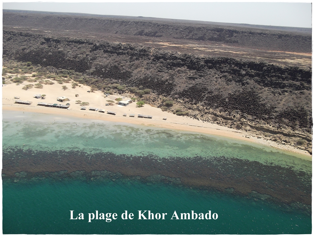Les Renauds 224 Djibouti Vues A 233 Riennes De Djibouti