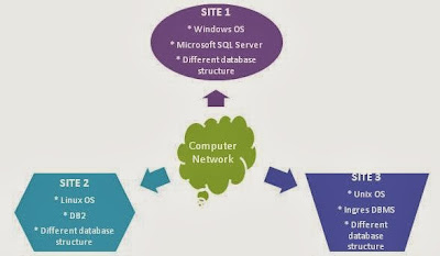 distributed database in dbms mcq