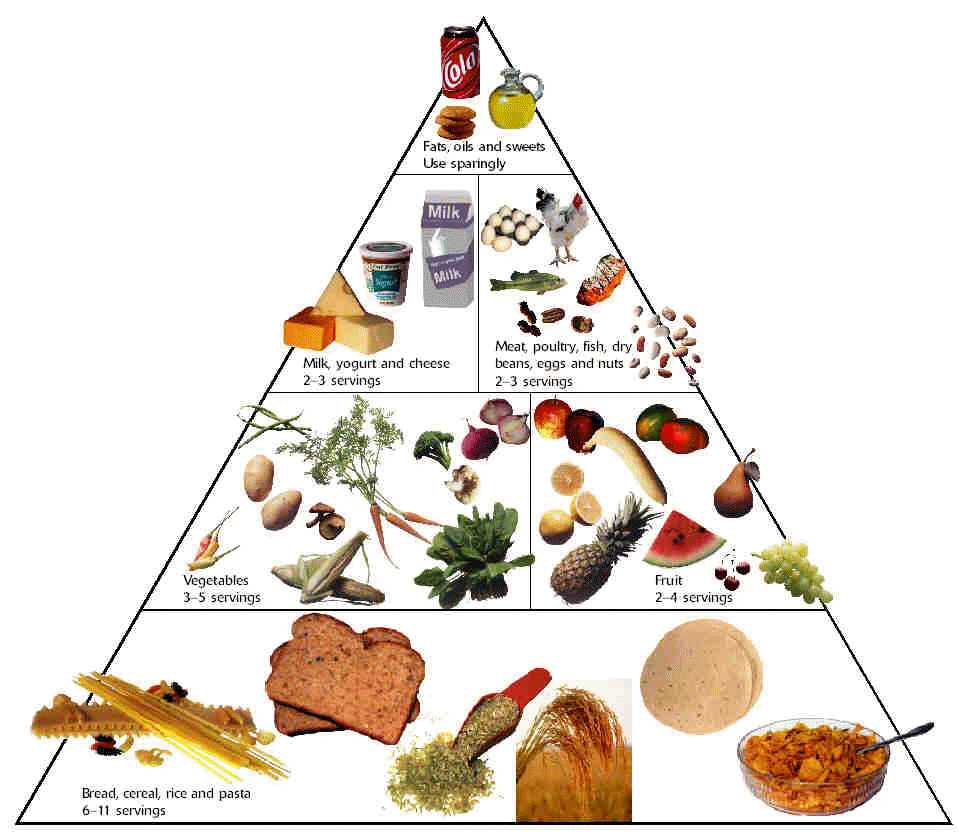 food pyramid outline