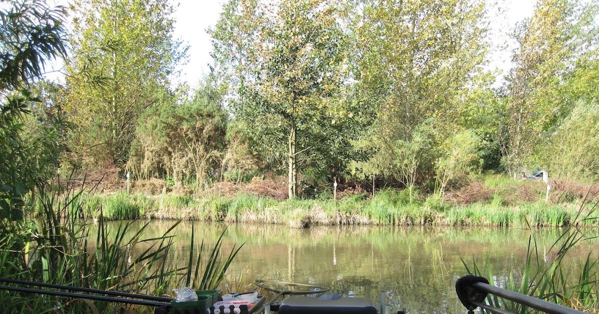 Oaks sessay results 04 image