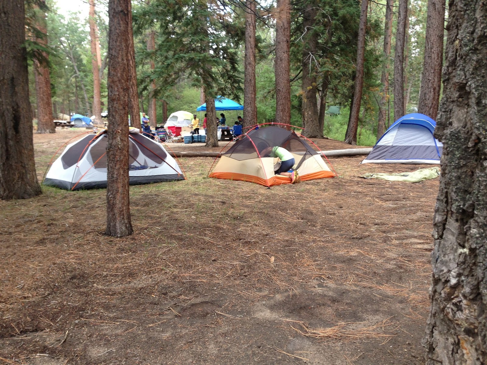 A Girl's Best Friend Camping in Big Bear!