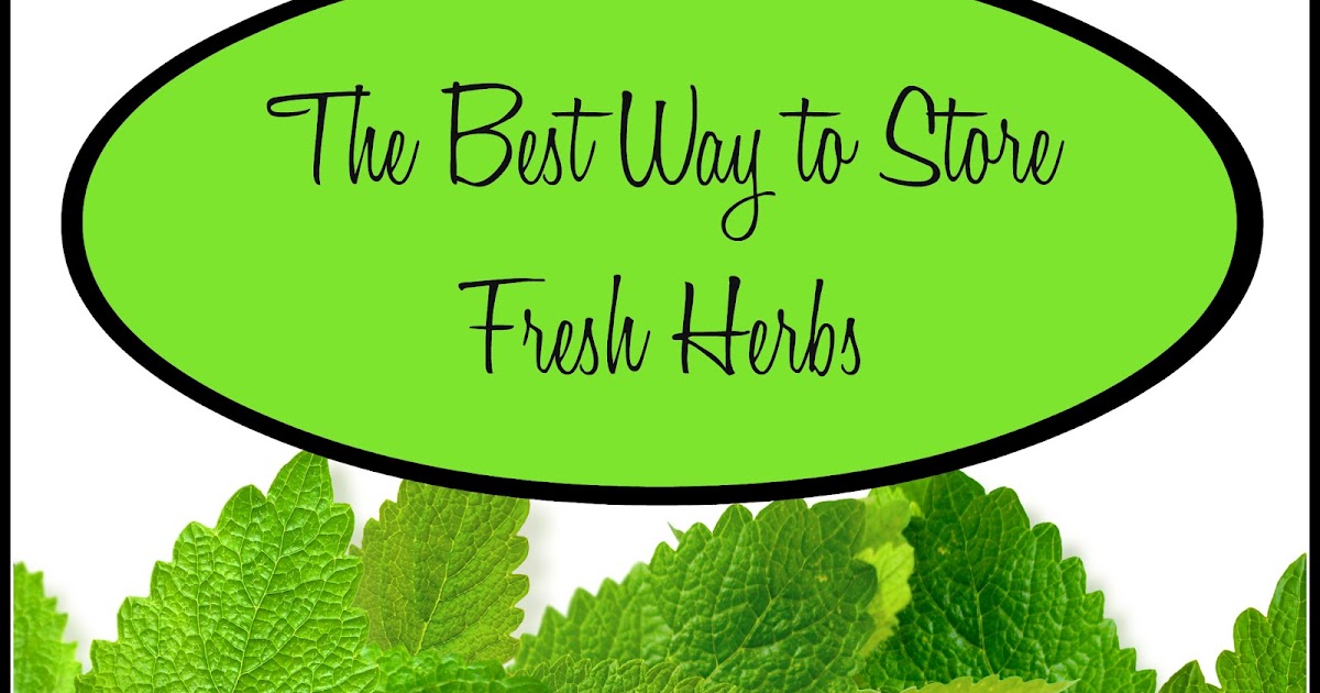 The Prudent Pantry The Best Way to Store Fresh Herbs