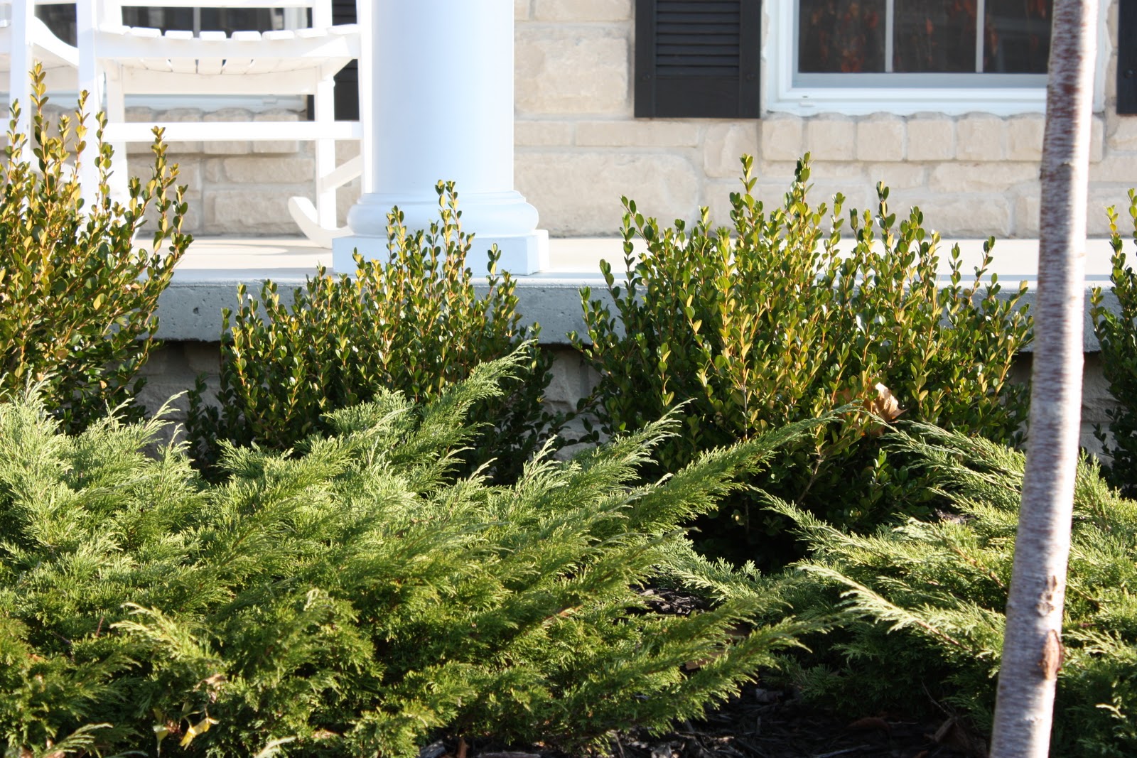 The Yellow Cape Cod Holiday Home Series Fast and Free Christmas Decorating