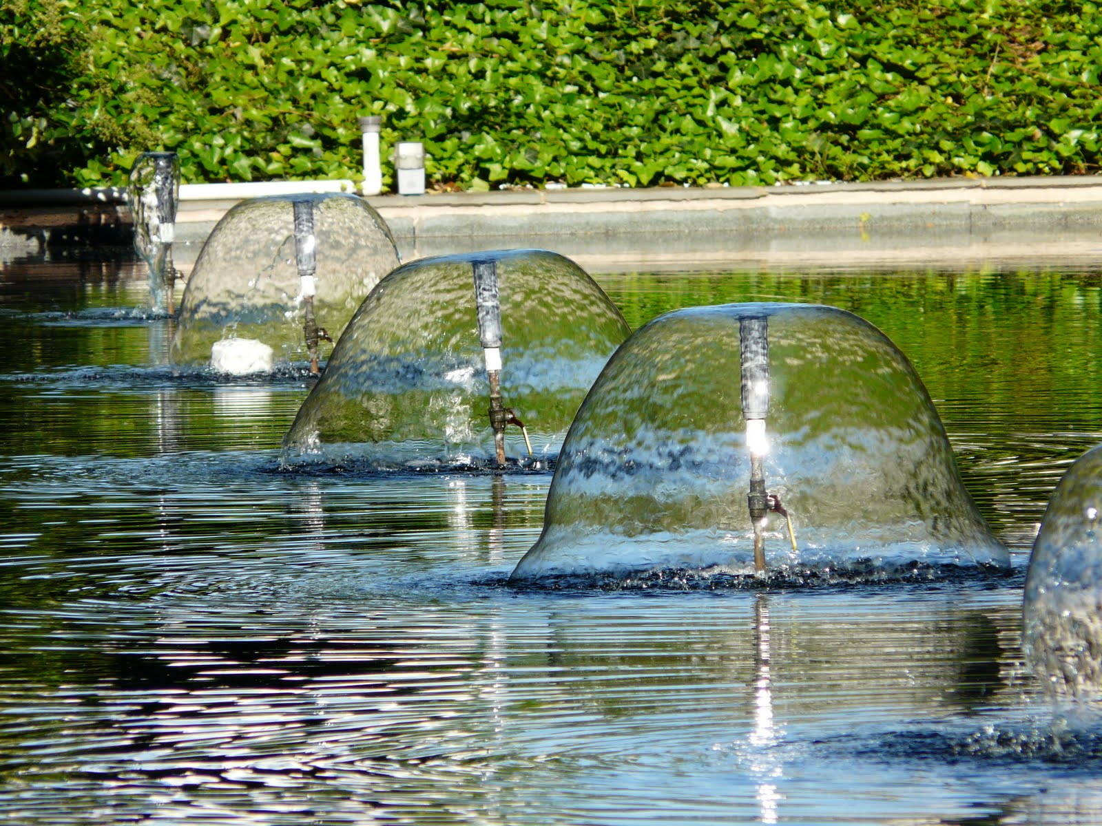 Capitol Hill Garden Club Magical May Walk at Harbour Square