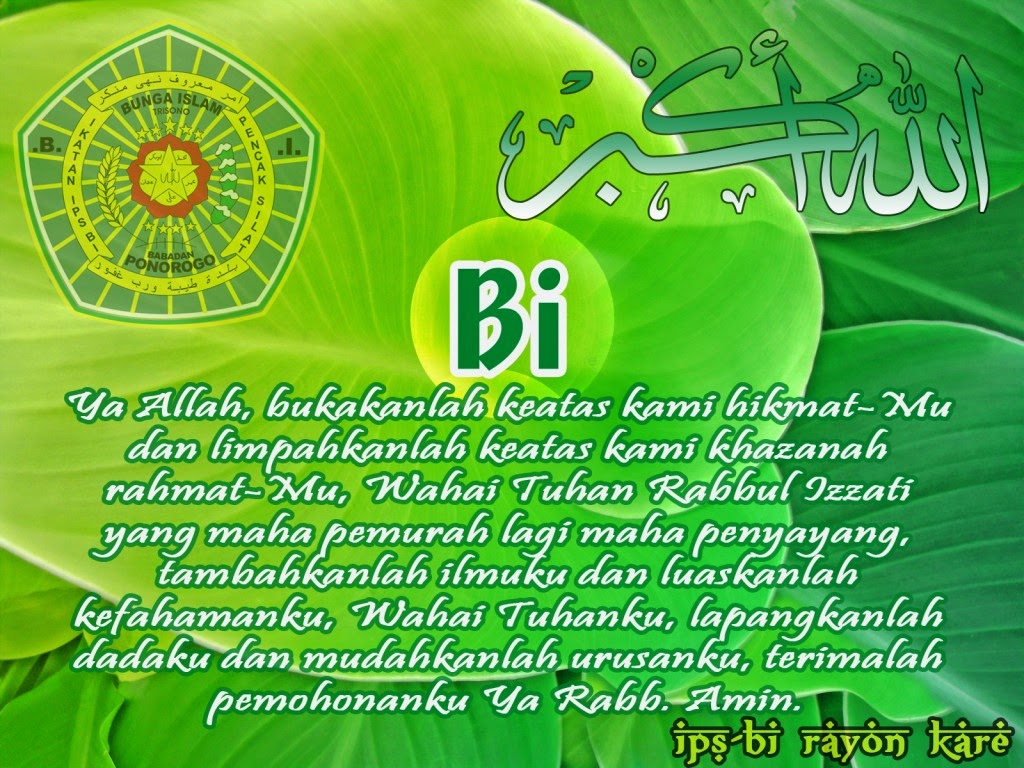 6000+ Wallpaper Bunga Islami HD Terbaru 6000+ Wallpaper Bunga Islami HD Terbaru