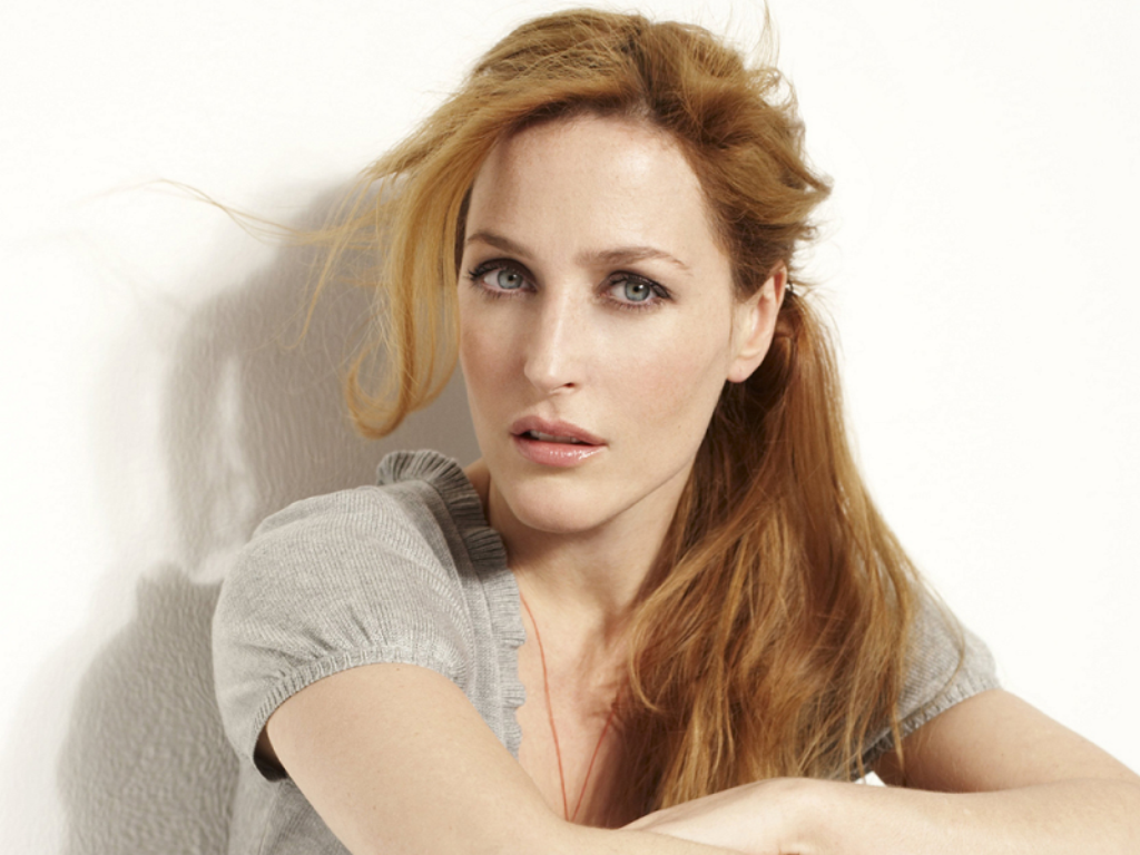http://2.bp.blogspot.com/-vwpLiiSmZOQ/UMn5NiJblLI/AAAAAAAAW0M/vsYErnEr3wQ/s1600/Gillian-Anderson-gillian-anderson-32830516-1024-768.png