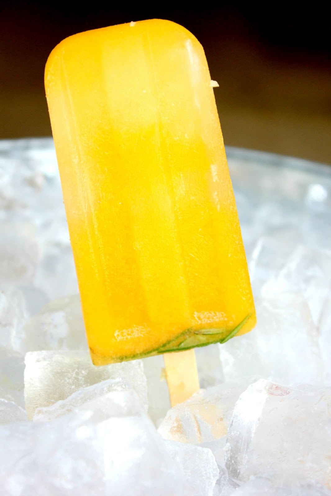10 Ultimate Summer Popsicle Recipes
