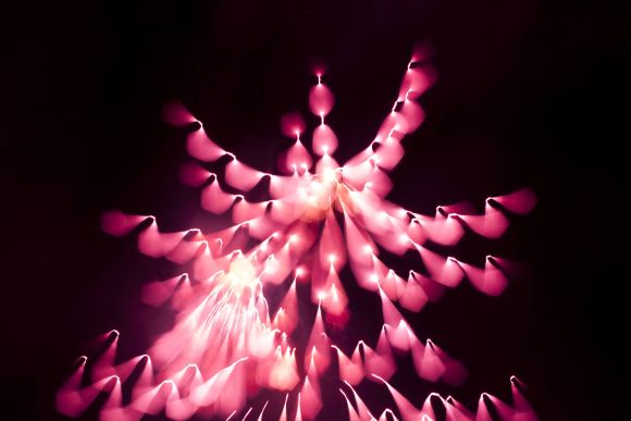 david johnson fotografia longa exposição foco fogos de artifício ouriços espinhos david johnson fotografia longa exposição foco fogos de artifício ouriços espinhos