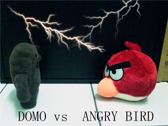 Domo Vs Angry bird