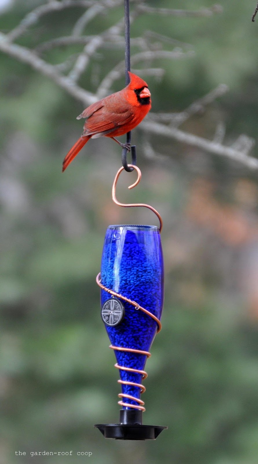 the garden-roof coop: DIY Glass Bottle Bird Feeders