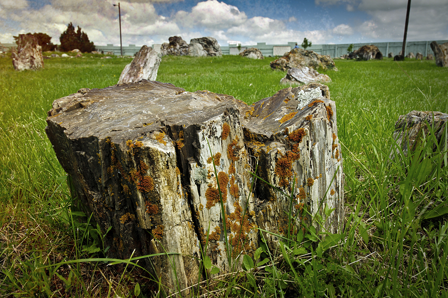 Dakotagraph Kadoka's tourism heritage
