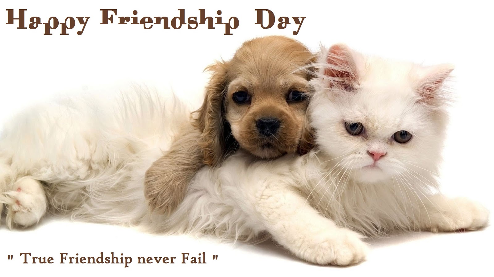 Funny Friendship Day Wishes Cards to Best Friends | Happy ...