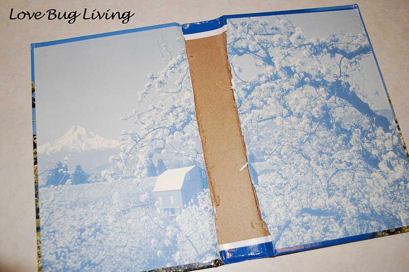 Love Bug Living Make your own Book Safe