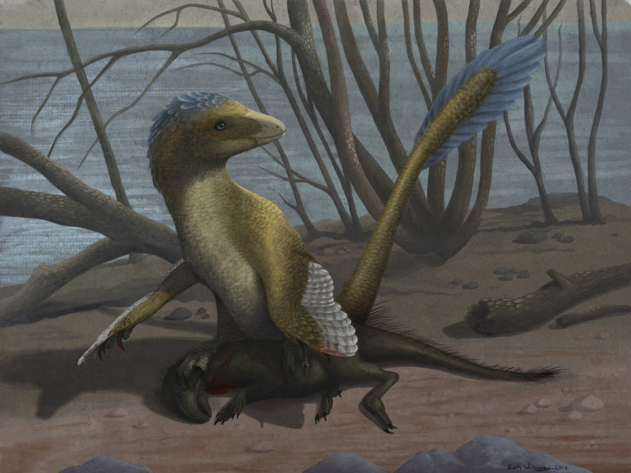 Four layers of Deinonychus – Emily Willoughby Art