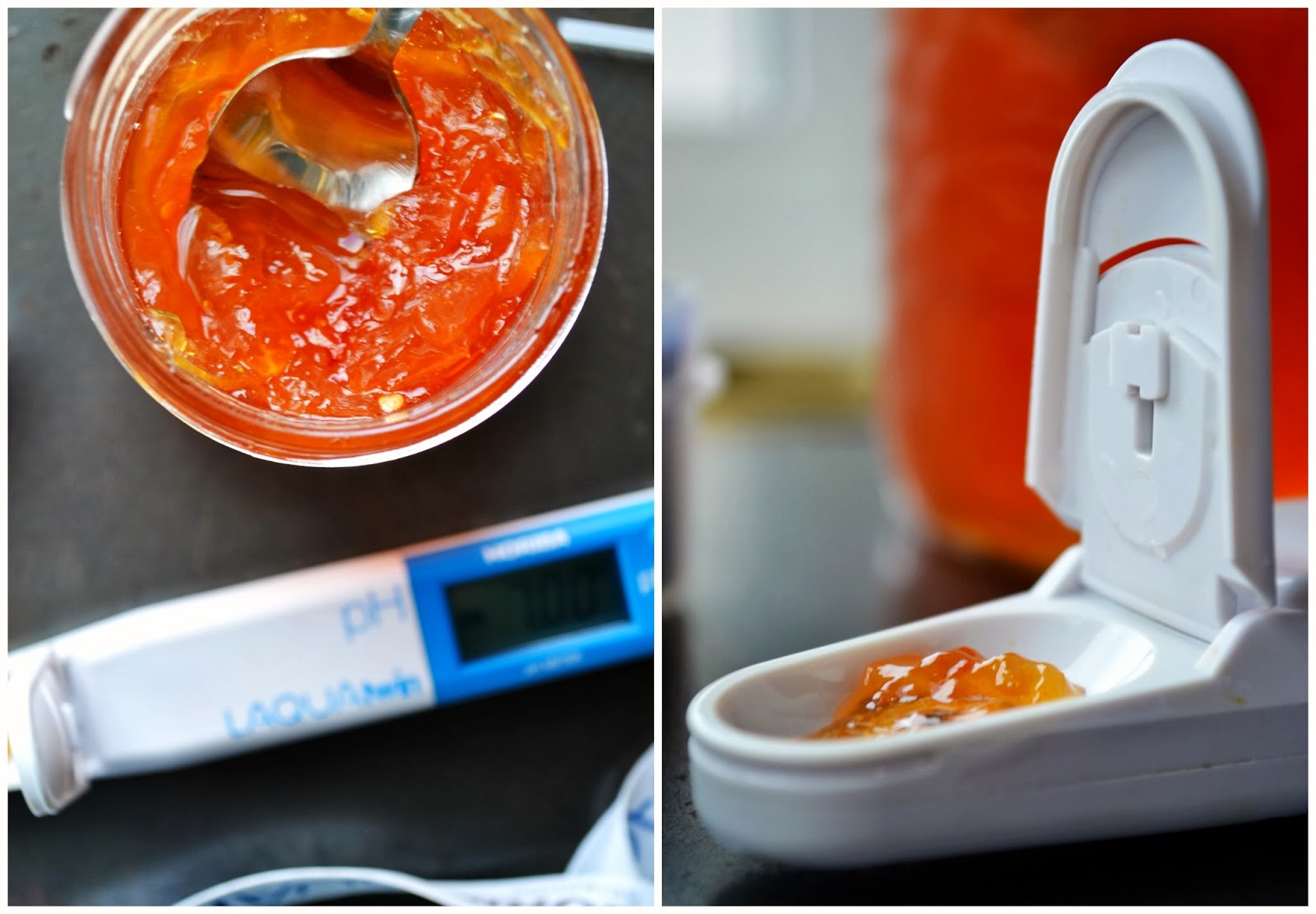 Testing home canning with the LAQUAtwin pH meter