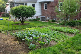 Backyard Vegetable Garden Design Ideas