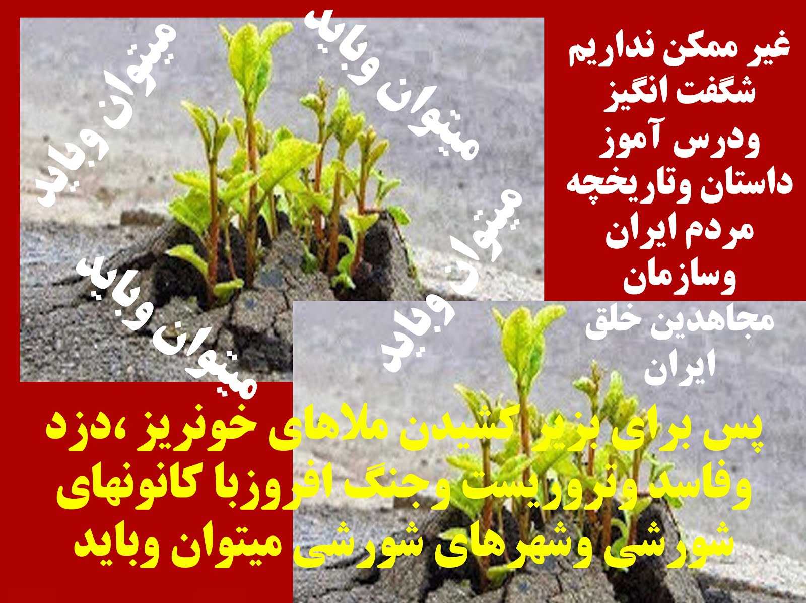 سمبل میتوان وباید (رویش ناگزیر جوانه اززیر آسفالت)