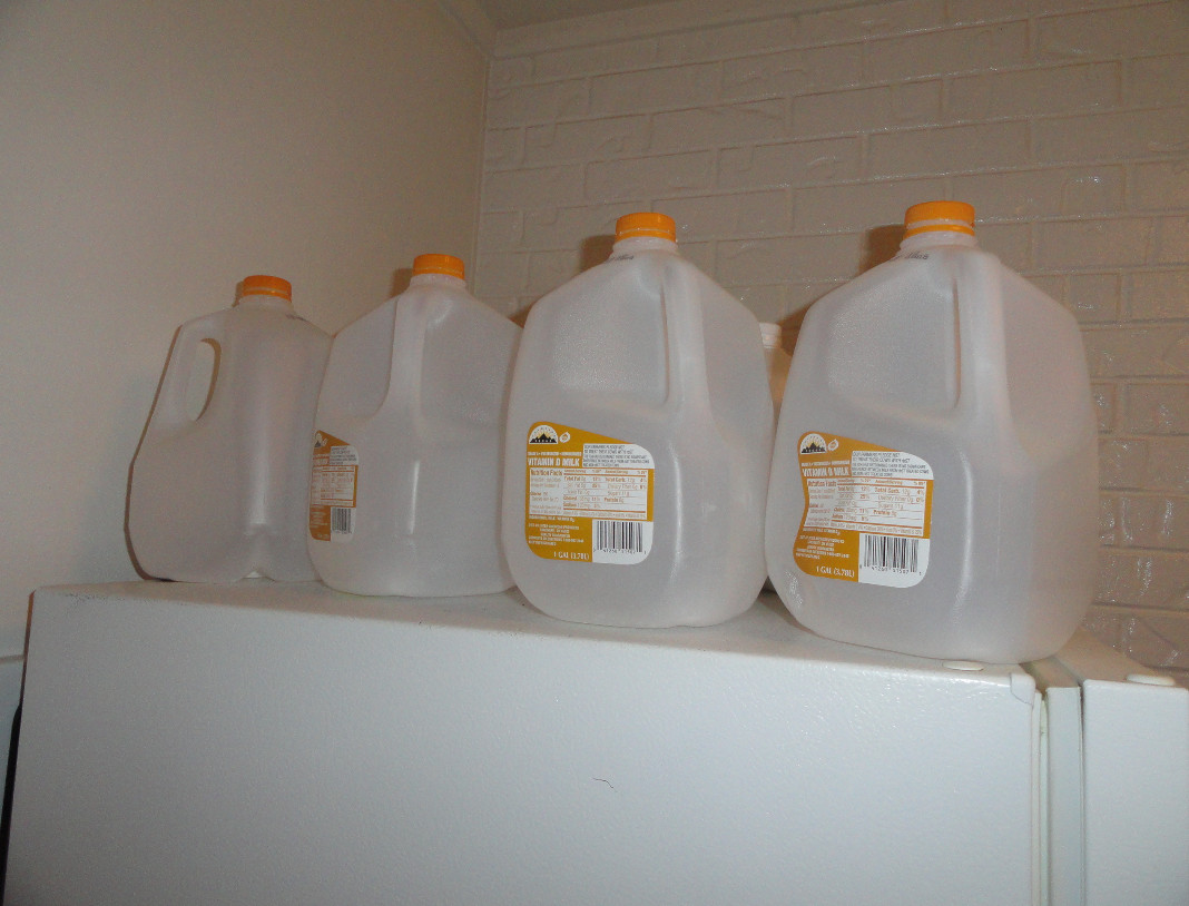 ️ Watering plants with milk. Feeding Plants. 20190203