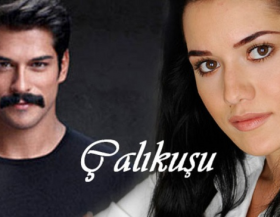 ÇalıKuşu 27.bölüm Tek Parça izle
