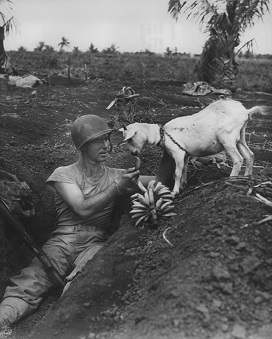 Sarg 1ro Infante Marina EEUU NEIL SHOBER Saipan Islas Marianas (--/06/1944)